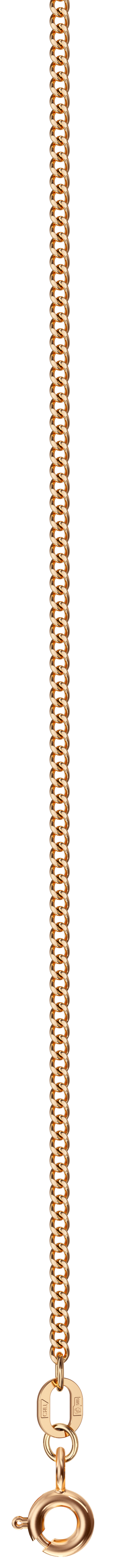 ������� �� ������